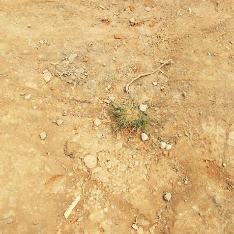 Github Asila Sila Code Local Scripts Prior To Pushing To Github - Download Elegant Vintage Photo | High Resolution