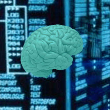 Developing Brains In Context Lab Github