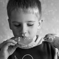 Phd Taoliu Github - Modern Dark Picture - Mobile