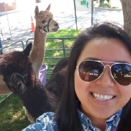 Rachelle 20 Github - Vintage Pattern Collection - HD Quality