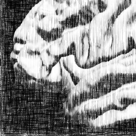 C13 Rashedsalama Github - Download Creative Landscape Background | 4K