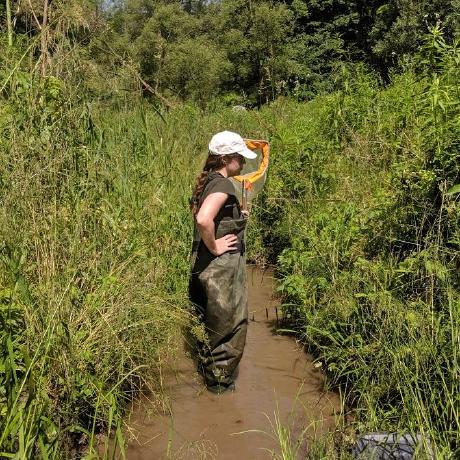 Jegleason Jennifer Gleason Github - Modern Vintage Pattern - Desktop