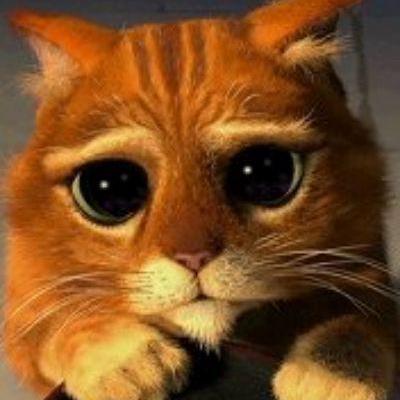 Reins Github - Premium Ocean Pattern Gallery - Ultra HD