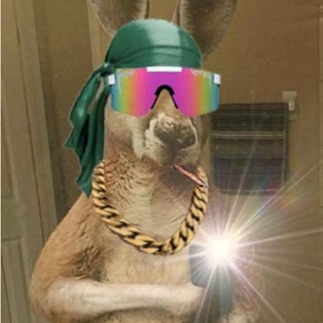 Oscar Lundberg Github - Premium Nature Wallpaper Gallery - Full HD