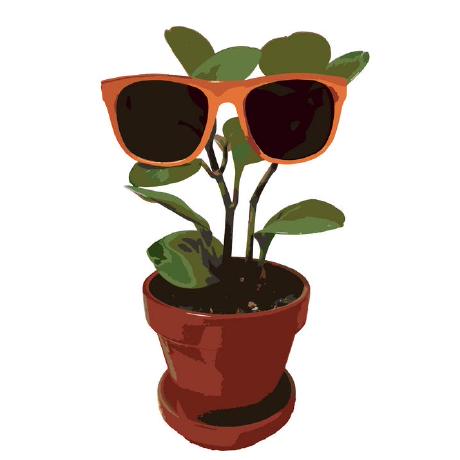 Github Ibetax Paulgraham Paul Graham - Best Sunset Pictures in 4K