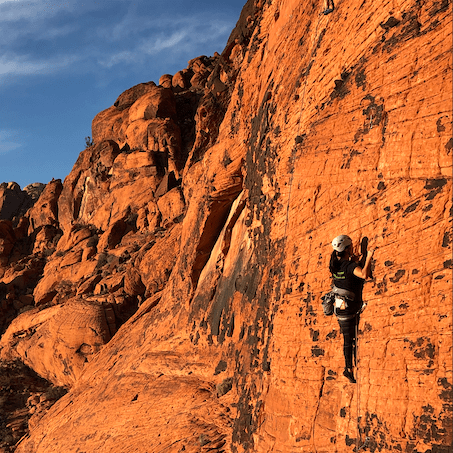 Natalieclaude Natalie Github - Premium Vintage Pattern Gallery - High Resolution