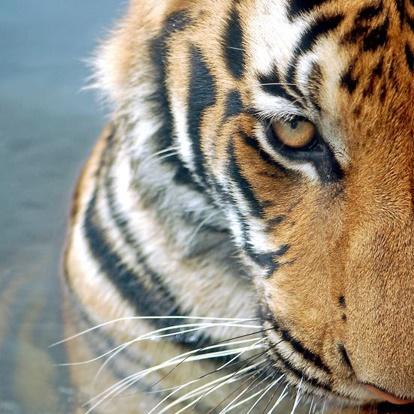 Ingmarklein Ingmar Klein Github - Nature Pattern Collection - Full HD Quality