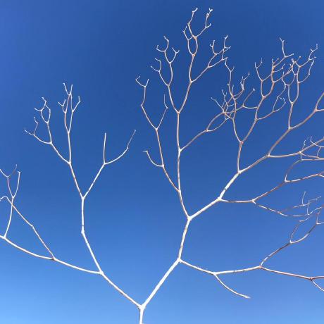 G Zapata Github - Ultra HD Light Images for Desktop