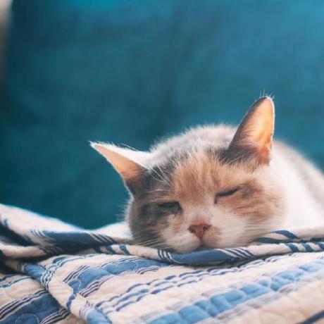 Github Wings236 Pogcn Official Code Implementation Of Multi Behavior - Download Creative Colorful Texture | Desktop