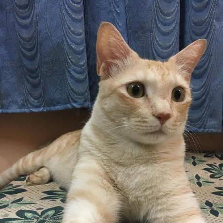 Lickhill Likhil N Maiya Github - Gorgeous Space Pattern - Ultra HD