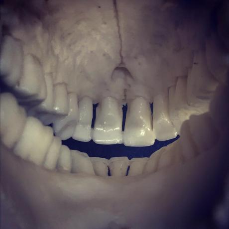 Tripper By Toothandclaw - Landscape Photo Collection - Retina Quality