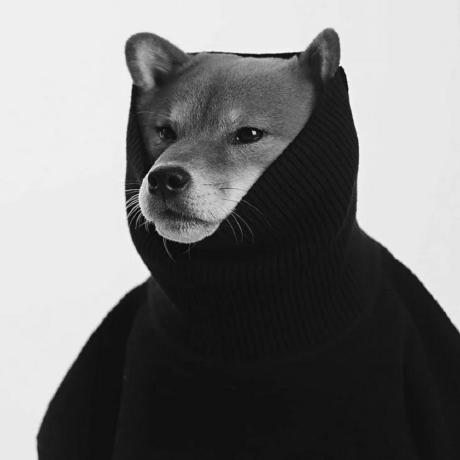 Douglas2569 Douglas Github - Creative Space Picture - High Resolution