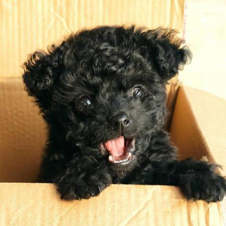 Xander By Github - Download Creative Gradient Picture | Full HD