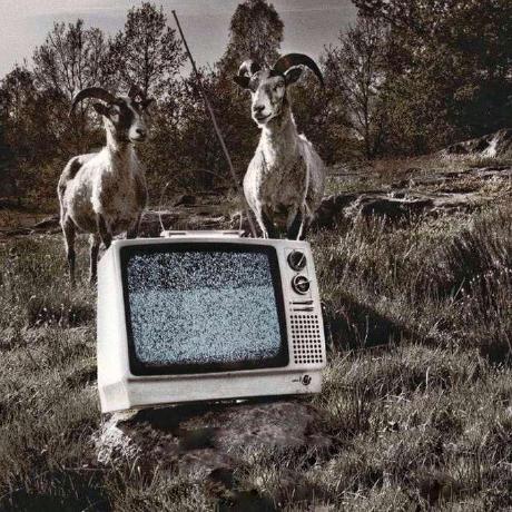 Releases Gloeyisk Systemless Hosts Github - Download Classic Nature Design | Ultra HD