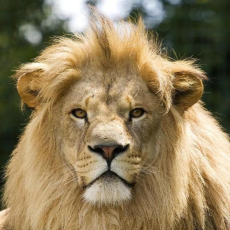 Nathan Grove Liinks - Download Elegant Minimal Photo | 4K