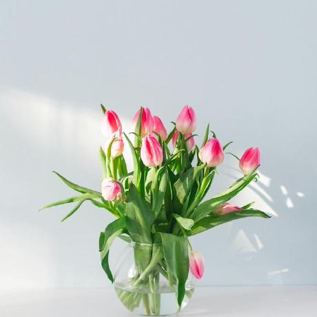 Github Carole007 Midm Release Mi - Premium Mountain Illustration Gallery - HD