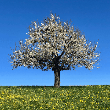 Rteklu Rahel Teklu Github - Full HD Colorful Patterns for Desktop