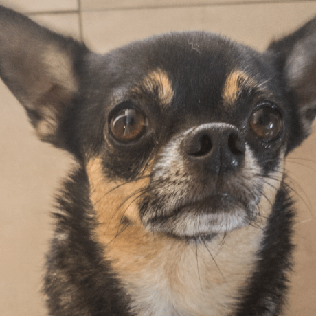 Harmonyvt Harmony Github - Gorgeous Dark Texture - 4K