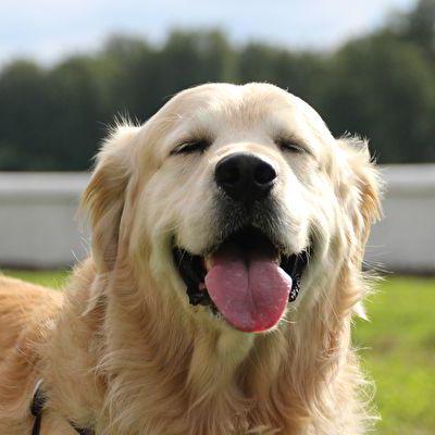 Github Wang Andy Jh Qzxy New - Classic Gradient Design - Mobile