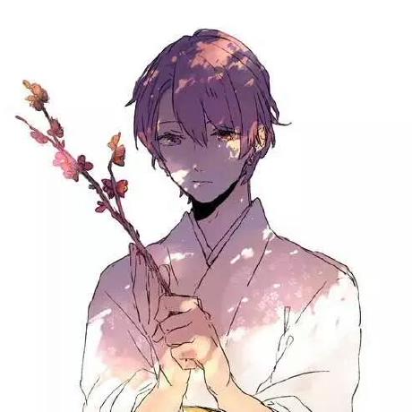 Takamura Y Sakura Github - Premium Nature Wallpaper Gallery - Ultra HD