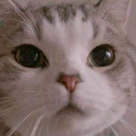 Github Youngphone Operating System - Premium City Design Gallery - HD