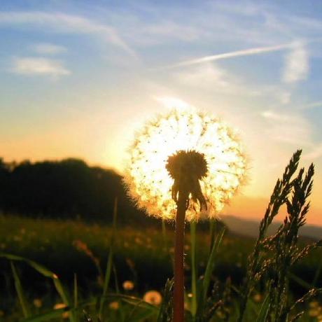 Blueberry Click Github - HD Vintage Textures for Desktop