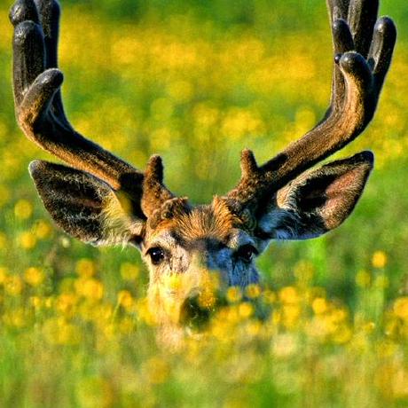 Je Enriquez Github - Premium Ocean Background Gallery - Retina