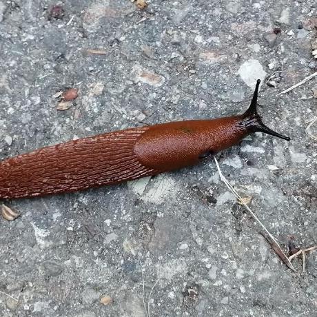 Whynot Hub Github - Best Geometric Images in Full HD