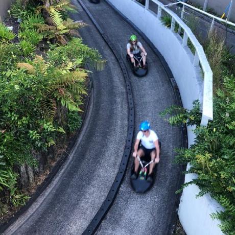 Ayrton Lima Github - Premium Landscape Illustration - Full HD