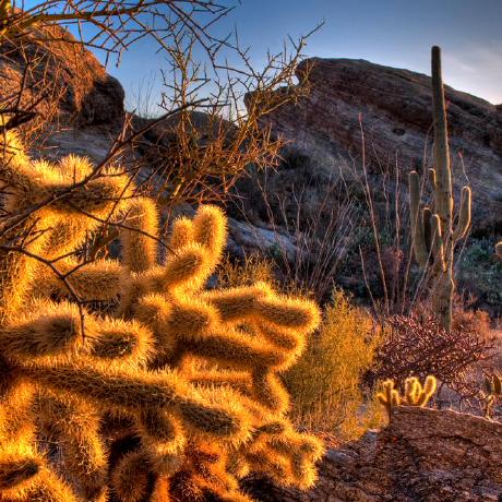 Civic Software Initiative Github - Perfect Mountain Photo - Desktop