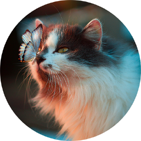 Releases Qd Today Qd Github - Best Abstract Backgrounds in Retina