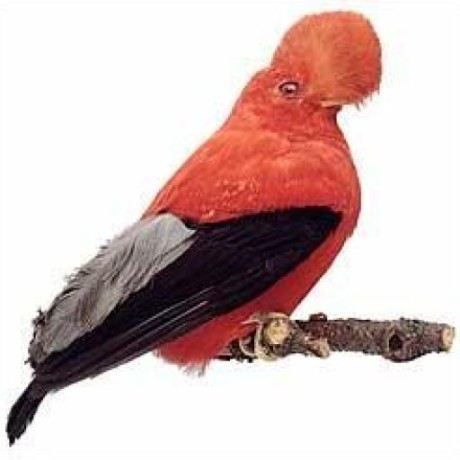 Vraimondi04 Vincent Raimondi Github - Space Arts - Perfect HD Collection