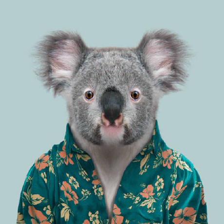 Stolld Dorian Stoll Github - Colorful Photos - Beautiful Mobile Collection