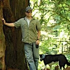 Steveohara Steve O Hara Github - Premium Colorful Wallpaper Gallery - Full HD