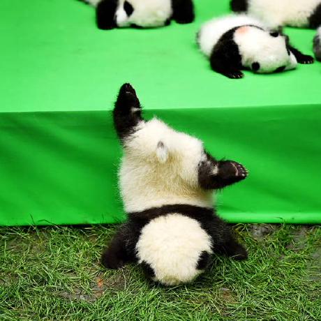 Vuulpees Anastasia Github - Best City Patterns in Ultra HD