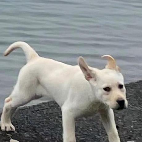 Casanova560 Sebastian Casanova Github - Best City Textures in Ultra HD