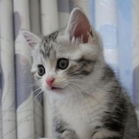 Github Xiaobinqt Dounai Checkin - Landscape Photos - Creative High Resolution Collection