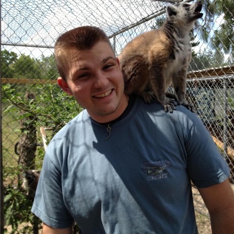 Matt Peters Matthew Peters Github - Light Patterns - Modern Desktop Collection