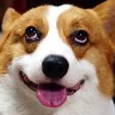 Github Ziweizhan Person Detector - Dark Texture Collection - Ultra HD Quality