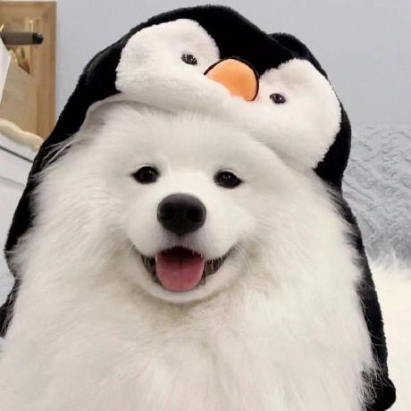 Yangyi Hub Github - Premium 4K Space Wallpapers | Free Download