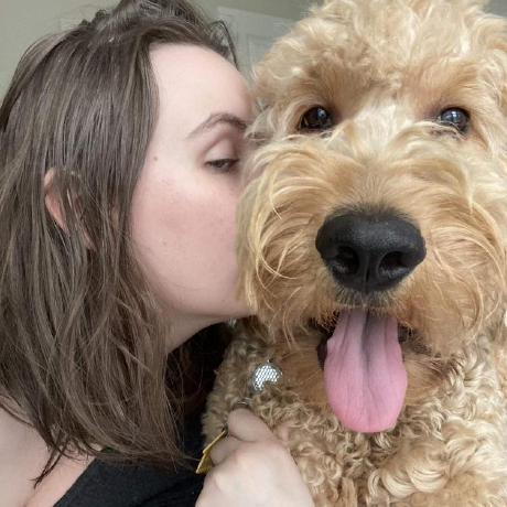 Marcelo Volpi Marcelo Volpi Github - Professional Colorful Background - Ultra HD