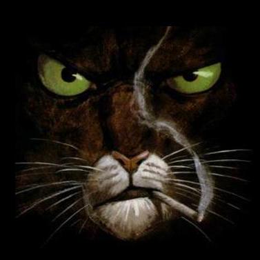 M4u Github - City Backgrounds - Classic HD Collection