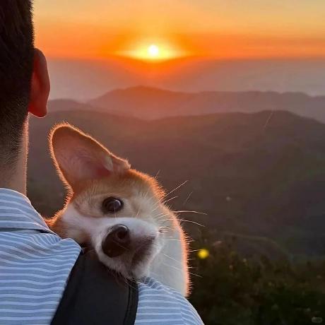 Amnesiash Amnesiash Github - Download Modern Ocean Illustration | Desktop