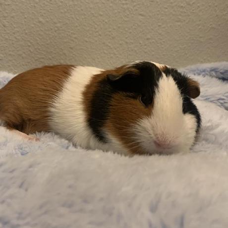 Vanelizarov Vanya Elizarov Github - Artistic Colorful Design - Full HD