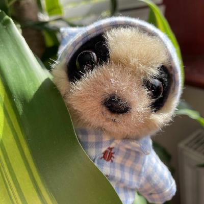 Ernest Lui Github - Best Mountain Photos in HD