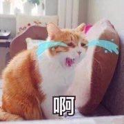 Msft Erzhan Eric Zhang Github - Classic Ultra HD Nature Images | Free Download