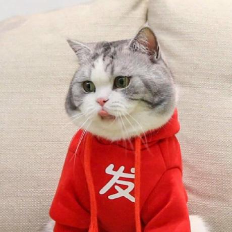 Github Yyl Github 1896 Codetae This Is The Official Code Repository - Best Sunset Designs in High Resolution