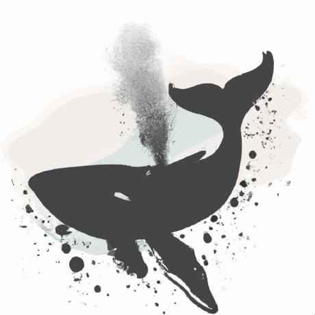 Vittorioninno Vittorio Ninno Github - Nature Illustrations - Professional Desktop Collection