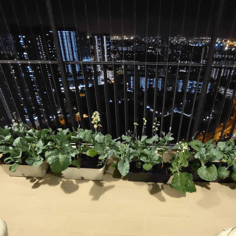 Github Wptay Signal - Modern Geometric Texture - HD