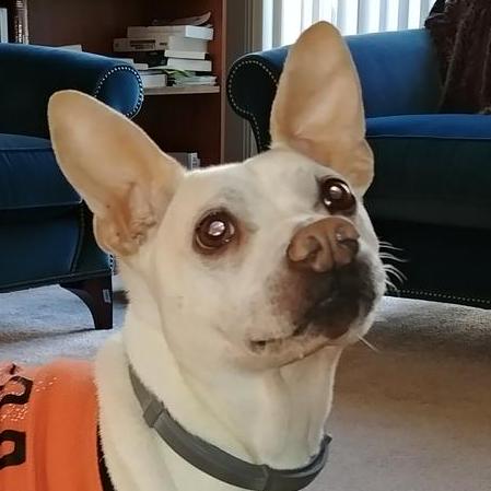 Github Freertos Freertos Lts - Ultra HD Geometric Backgrounds for Desktop